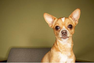 《暗喻幻想》同时在线Steam玩家数量超过6.1万人